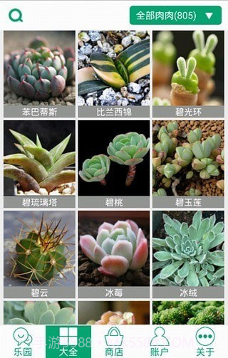 多肉植物软件截图1