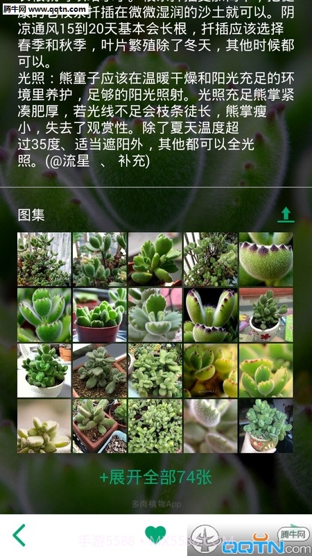 多肉植物app截图2