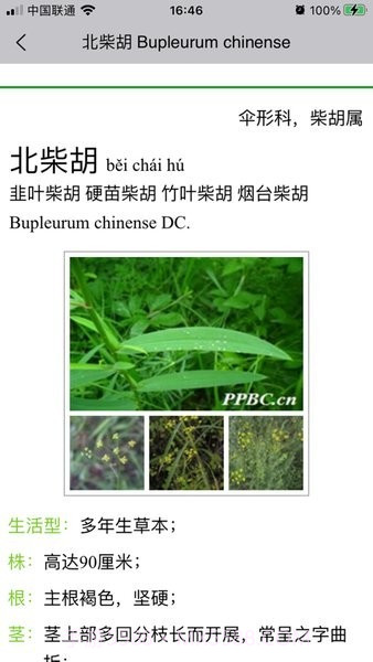 晓草草原植物识别截图3 晓草草原植物识别截图3