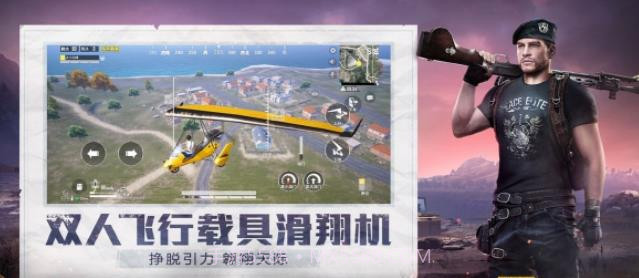 和平精英小蜜蜂助手截图1