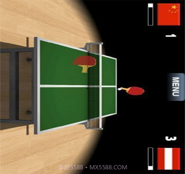 Virtual Table Tennis截图1
