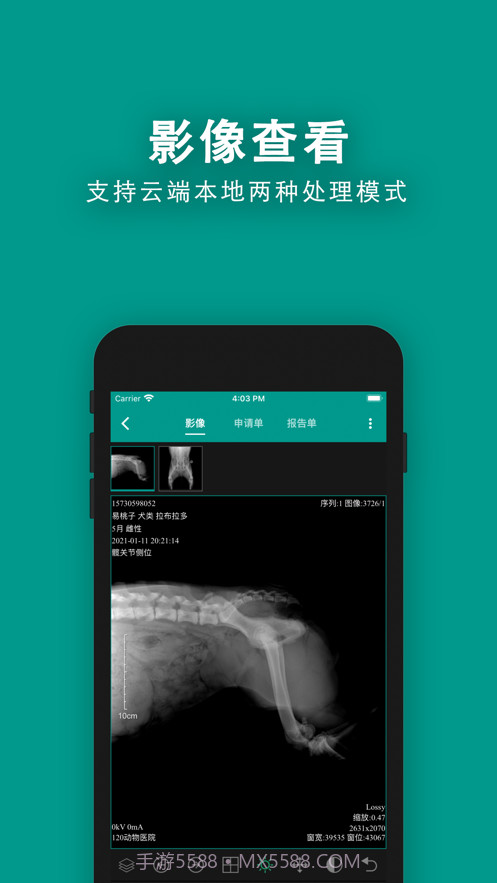 慧龙兽医影像截图2