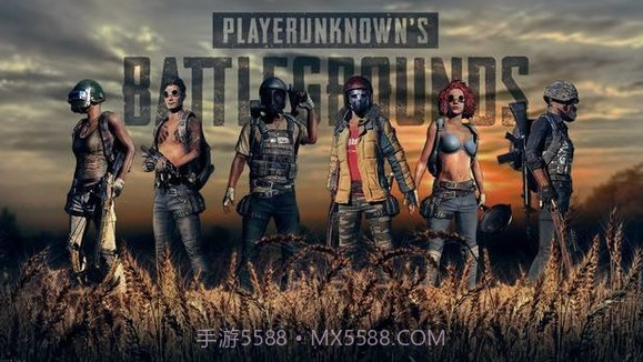 pubg（国际服）2.8安装包截图2