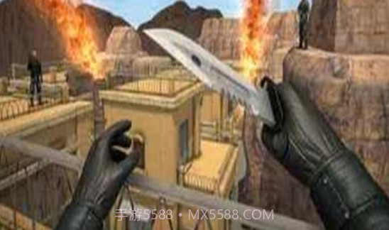 掩护打击cs截图1