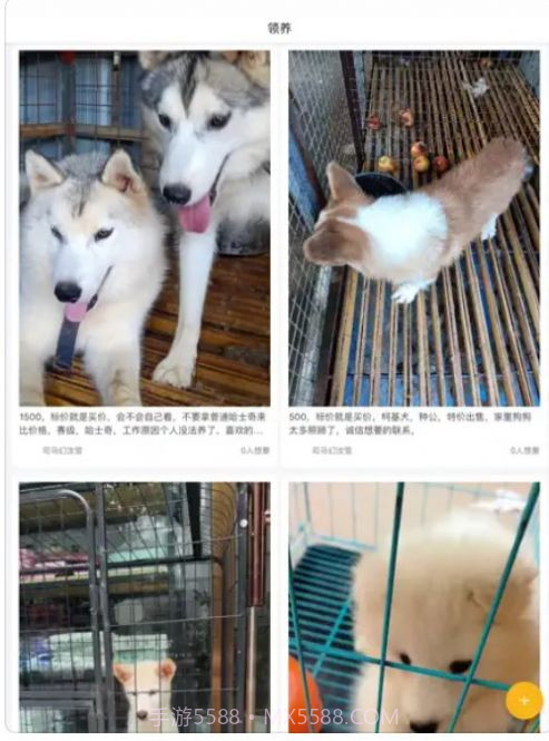 小爱宠物口令截图3