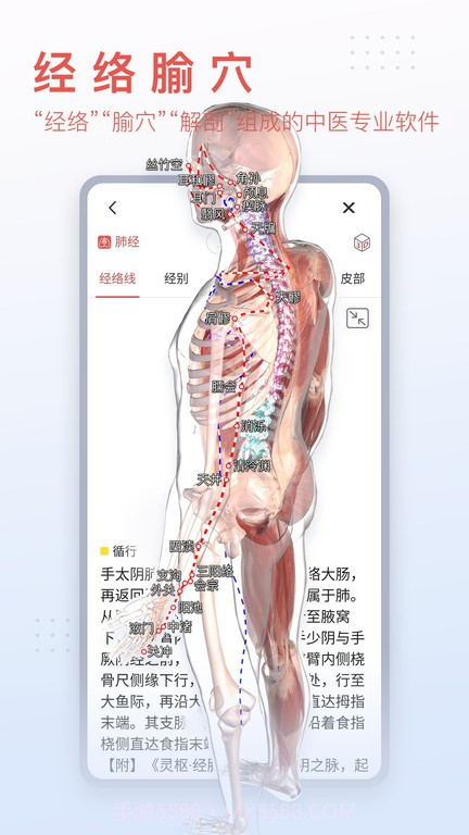 3d人体模型截图2
