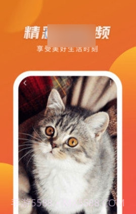 优赏短视频赚钱版截图3