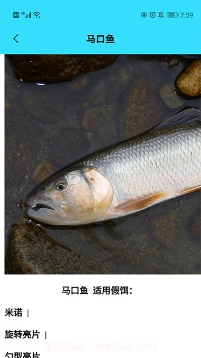 我爱养鱼截图2