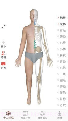 3D BODY(经络穴位3D)截图1 3D BODY(经络穴位3D)截图1