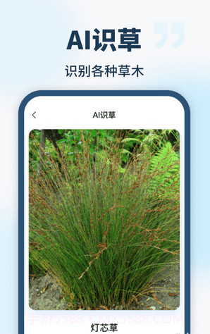 AI智能助手截图4