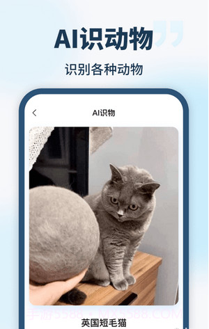 AI智能助手截图3