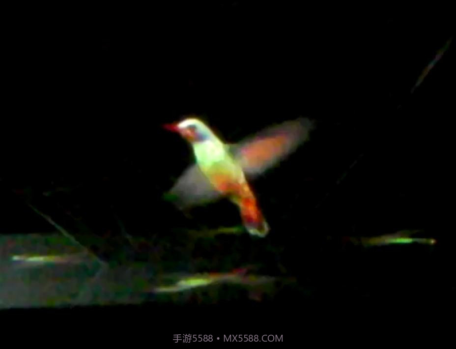 真三维全息投影仪截图4