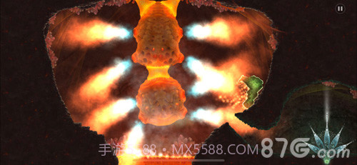 Mushroom最新版截图3