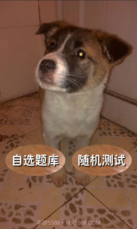 奥数题及答案截图1