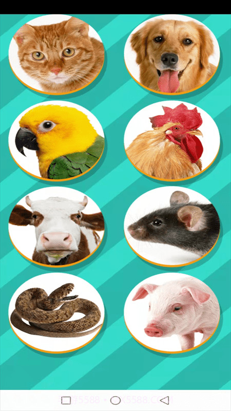 动物交流模拟器软件截图3 动物交流模拟器软件截图3