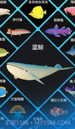 深海水族馆2019截图3 深海水族馆2019截图3