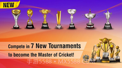 世界板球锦标赛2截图2