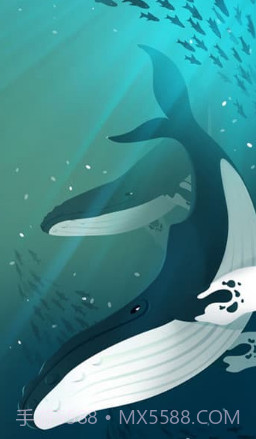 深海水族馆2019截图4 深海水族馆2019截图4