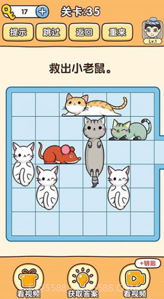 全民烧脑3截图3