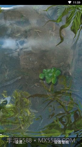 3d鱼池动态壁纸（Koi）截图2