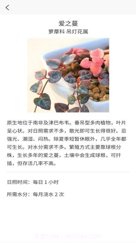 嘟嘟多肉植物鉴截图3