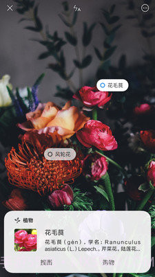 小米智能识物截图1