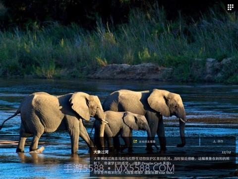 国家地理APP截图5