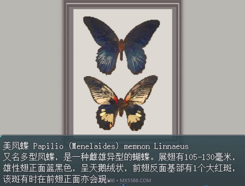 白夜博物馆官方版截图5