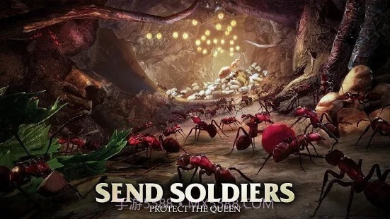 蚂蚁军团为了虫群截图2 蚂蚁军团为了虫群截图2