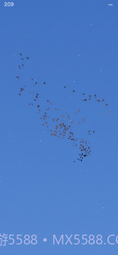 Flocc截图2 Flocc截图2