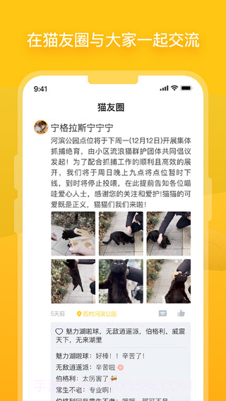 哈啰街猫手机版截图3