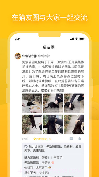 哈啰街猫最新版v1.0.1截图2 哈啰街猫最新版v1.0.1截图2