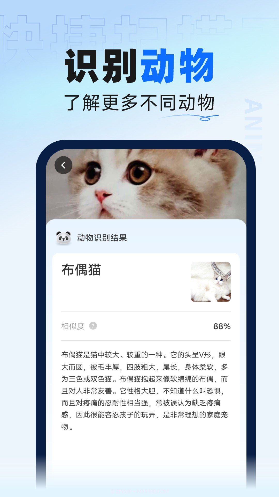 迅捷扫描大师截图1