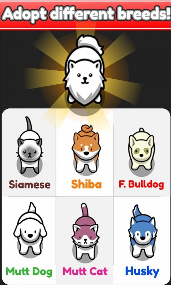 云养宠物无限金币版截图4