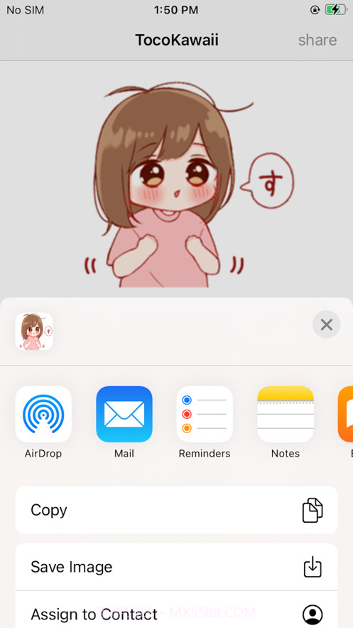 TocoKawai截图2