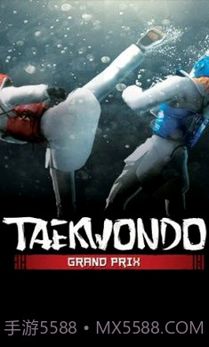 跆拳道大奖赛离线版截图2