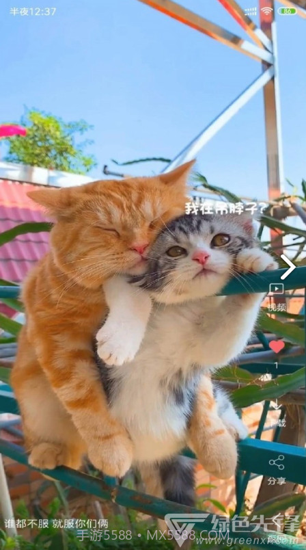 VideoWallpaper(videowallpaper小米)V3.2.3 安卓中文版截图5 VideoWallpaper(videowallpaper小米)V3.2.3 安卓中文版截图5