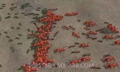 模拟地下蚁国截图1