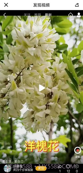 趣豆壳短视频截图4 趣豆壳短视频截图4