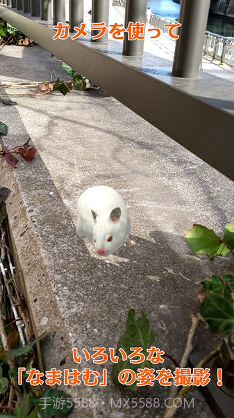 云仓鼠最新版截图4