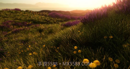 ProjectX大逃杀官网版截图2