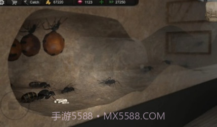 蚂蚁模拟大亨截图2 蚂蚁模拟大亨截图2