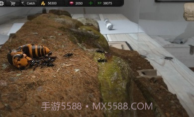 蚂蚁模拟大亨截图3 蚂蚁模拟大亨截图3