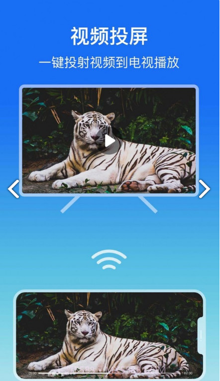 lbtp屏幕镜像官网版截图3 lbtp屏幕镜像官网版截图3