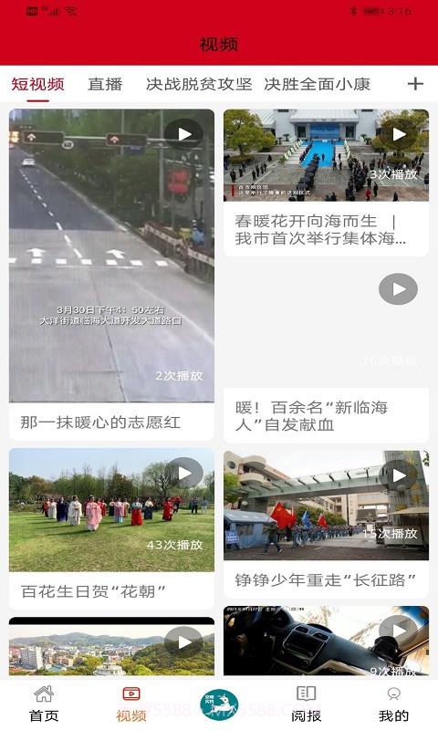 掌心临海纯净版截图2 掌心临海纯净版截图2