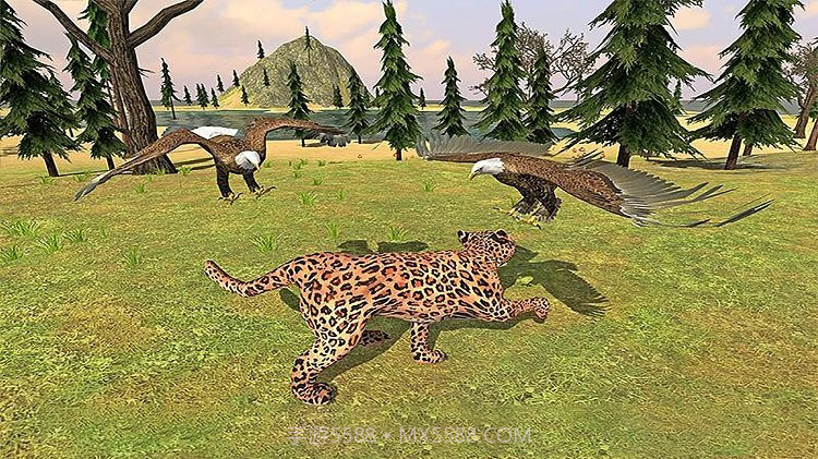 猎鹰模拟器截图2