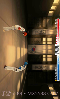 跆拳道大奖赛最新版截图1