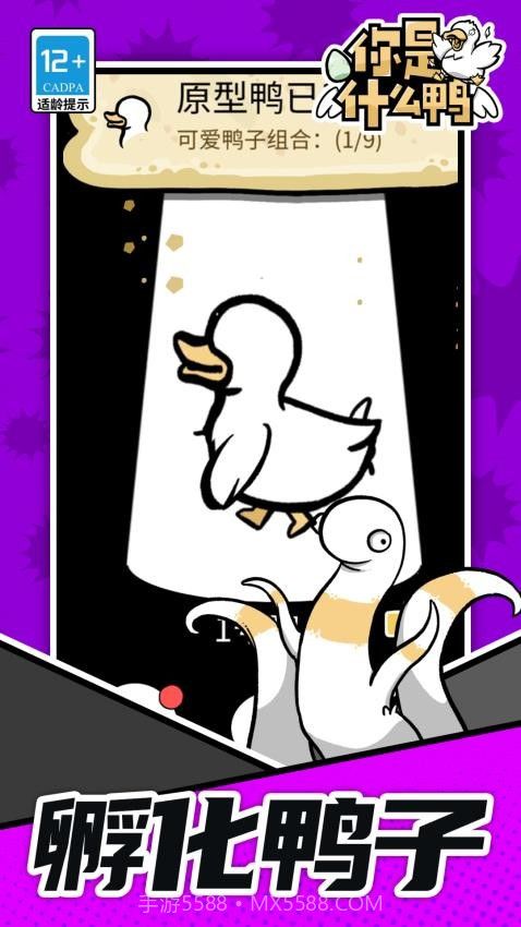 你是什么鸭官方版截图3