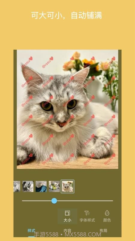 简单水印照片老版本截图4