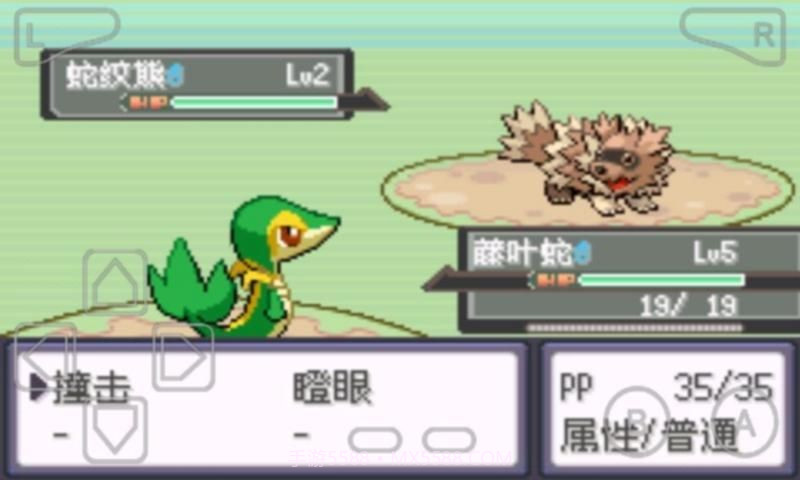 口袋妖怪漆黑的魅影截图2